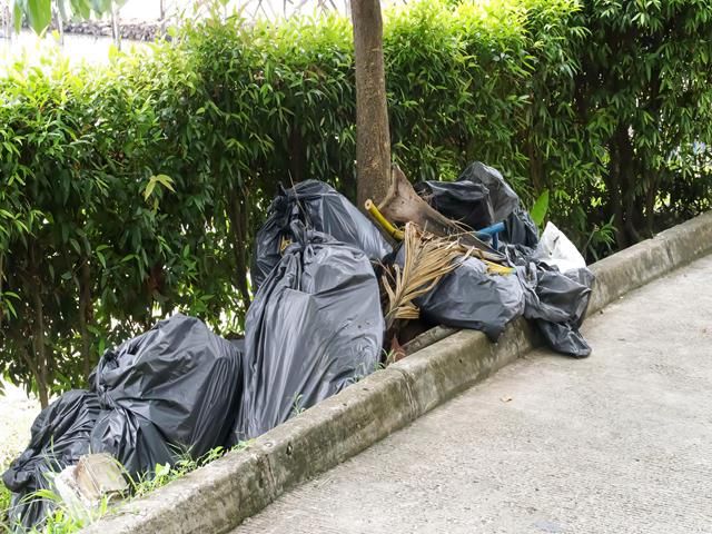 images/garden-clearance/slider/garden-waste-removal (9)-kireth-ai.jpeg
